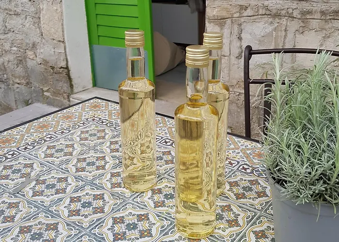 Casa de Férias Stone House Olsavinia Close To The