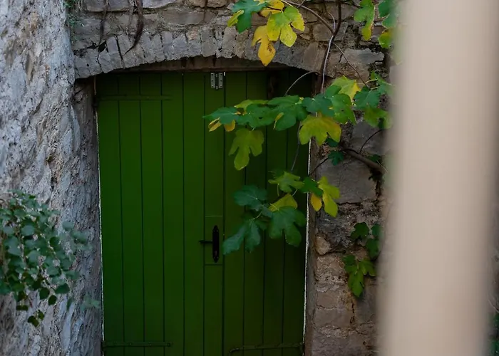 Stone House Olsavinia Close To The *